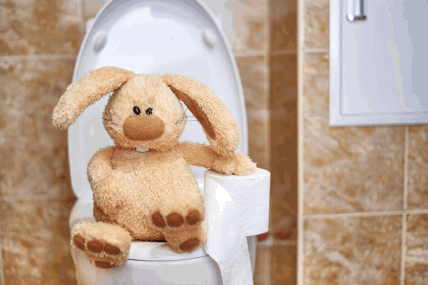  Foto de um coelho de pelúcia sentado no vaso sanitário. A tecnologia das privadas é uma das curiosidades sobre o Japão.
